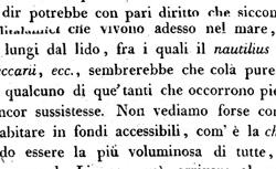 BROCCHI, Giovanni Battista (1772-1826) Conchiologia fossile subapennina