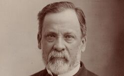 Accéder à la page "Portraits de Louis Pasteur"