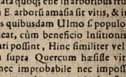 CAMERARIUS, Rudolf Jakob (1665-1721) De sexu plantarum epistola