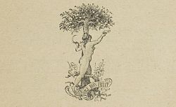 Femme cueillant des fruits à l'arbre