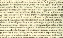 CESALPINO, Andrea (1519-1603) De plantis libri XVI
