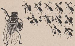 Accéder à la page "Dix fables d'animaux : iIllustrations en silhouettes et morales humoristiques aux dépens des humains, ill. Henri Avelot, 1932"