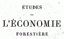 Etudes sur l'économie forestière