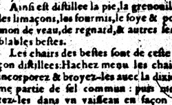 CORDUS, Valerius (1515-1544) Pharmacorum omnium
