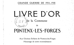 Accéder à la page "Fête de la Victoire dans un village français, 14 juillet 1919"