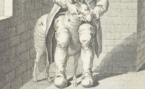 Accéder à la page "Daubenton, Louis (1716-1799)"