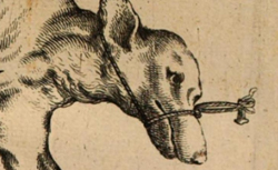 DE GRAAF, Regnier (1641-1673) De succi pancreatici natura et usu exercitatio anatomico-medica