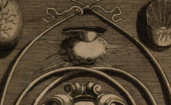 DE GRAAF, Regnier (1641-1673) De virorum organis generationi inservientibus