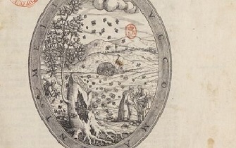 MATTIOLI,  Pierandrea (1501-1577) Di Pedacio Dioscoride Anazarbeo Libri cinque della historia et materia medicinale