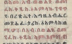 Ethiopien 596 Griaule 288