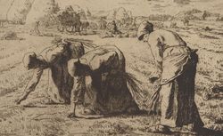 Les glaneuses : estampe, Jean-François Millet, 1855-1856