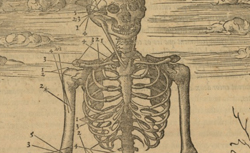 ESTIENNE, Charles (1504-1564) De dissectione partium corporis humani libri tres