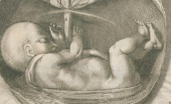 FABRIZI d'ACQUAPENDENTE, Girolamo (1537-1619) De formato foetu