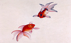Fleurs poissons, papillons et scarabées de Chine, 20e siècle