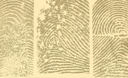 GALTON, Francis (1822-1911) Finger prints