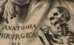 GENGA, Bernardino (1620–1690) Anatomia chirurgica