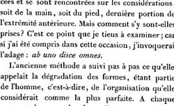 GEOFFROY SAINT-HILAIRE, Étienne (1772-1844) Principes de philosophie zoologique
