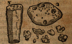 GESNER, Conrad (1516-1565) De omni rerum fossilium genere