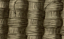 HOOKE, Robert (1635-1703) Micrographia