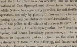 HOOKER, Joseph Dalton (1817-1911) On the flora of Australia