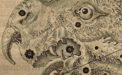 HORROCKS, Jeremiah (1617-1641) Venus in sole visa