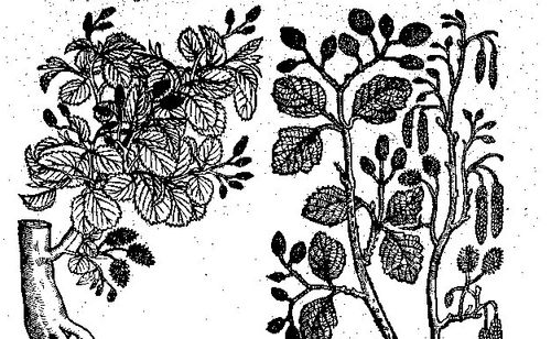 Accéderála page“L’Ecluse，Charles de（1526-1609）”