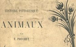Accéder à la page "Pouchet, Félix-Archimède (1800-1872)"