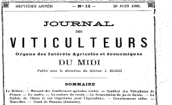 Accéder à la page "Journal des viticulteurs : organe des intérêts agricoles et économiques du Midi"