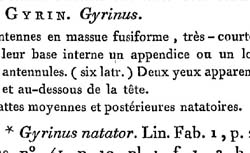 LAMARCK, Jean-Baptiste de Monet de (1744-1829) Système des Animaux sans vertèbres