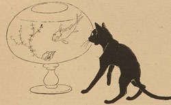 Le Chat noir, 3 mai 1884
