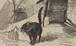 Le Chat noir, 5 mai 1883
