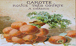 Le jardin potager, L.-J. Troncet, 1895