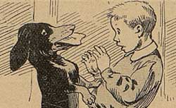 L'Écolier illustré, 30 juin 1904