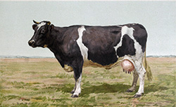 Les animaux de la ferme. Les races bovines, J.A. George, 1911