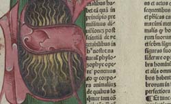 ALBERTUS MAGNUS (1200?-1280) De Animalibus