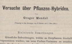 MENDEL, Johann Gregor (1822-1884) Versuche über Pflanzen-Hybriden