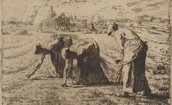 Les glaneuses : estampe, Jean-François Millet, 1855-1856 