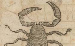 MOFFETT, Thomas (1553-1604) Insectorum, sive Minimorum animalium theatrum