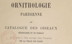 Accéder à la page "Paquet, René (1845-1927)"