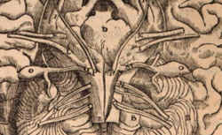PARÉ, Ambroise (1509?-1590) La Méthode curative des playes et fractures de la teste humaine