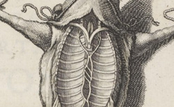 PECQUET, Jean (1622-1674) Experimenta nova anatomica