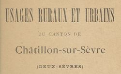 Accéder à la page "Usages ruraux et urbains du canton de Châtillon-sur-Sèvre (Deux-Sèvres)"