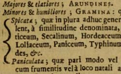 RAY, John (1627-1705) Methodus plantarum nova