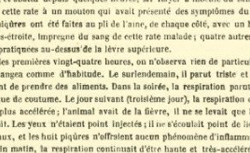 RAYER, Pierre-François-Olive (1793-1867) Inoculation du sang de rate