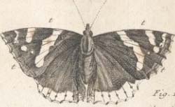 RÉAUMUR, René Antoine Ferchault de (1683-1757) Mémoires pour servir à l'histoire des insectes