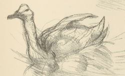 Accéder à la page "Toulouse-Lautrec, Henri de (1864-1901)"