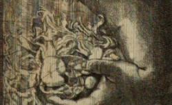 RUYSCH, Frederik (1638-1731) Thesaurus anatomicus primus