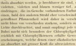 SACHS, Julius von (1832-1897) Handbuch der Experimental-Physiologie der Pflanzen