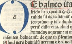 SAVONAROLA, Giovanni Michele (1384?-1462?) De balneis et thermis naturalibus omnibus Italiae