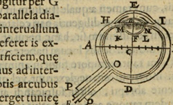 SCHEINER, Christoph (1575-1650) Oculus